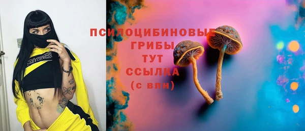бутират Каменка