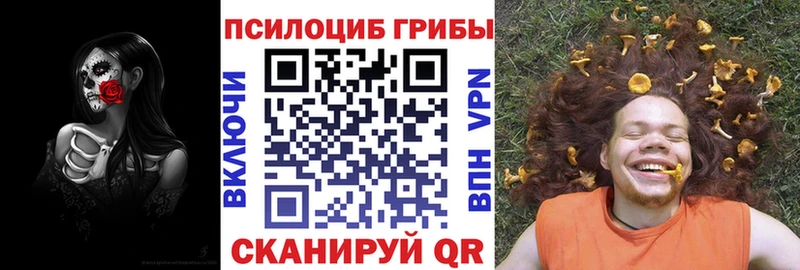 Купить закладки  Тобольск  Псилоцибиновые грибы ЛСД 